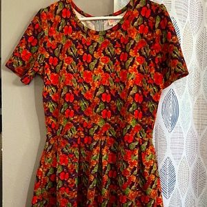 LuLaRoe Dress with zippered back